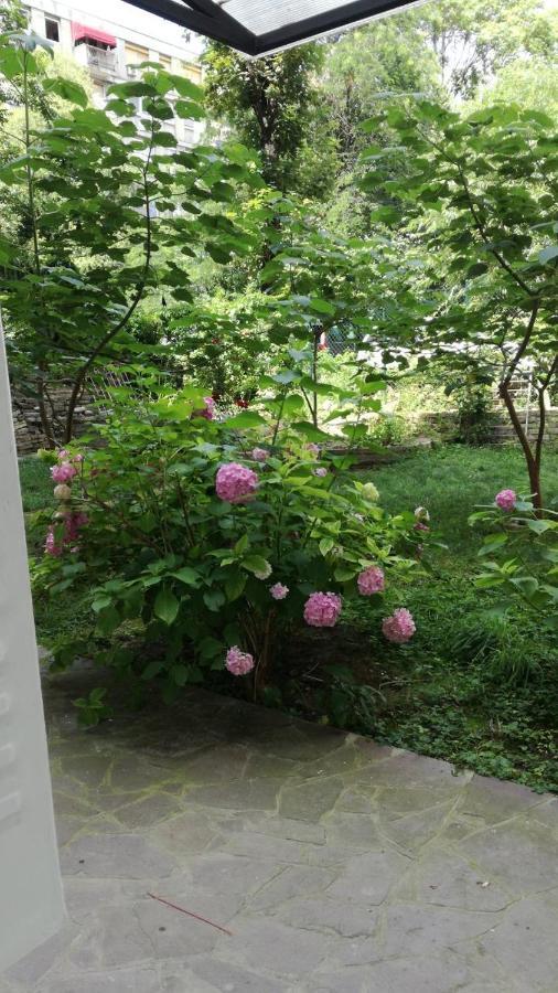 Vracar Krunska Jamiva Apartment Belgrad Exterior foto